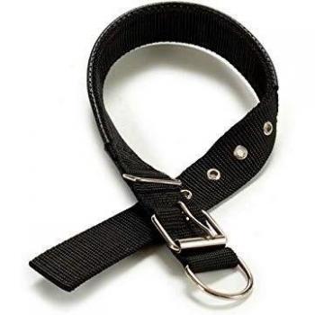 Collar para Mascota, Dimensiones 0.2 x 61.5 x 3 cm