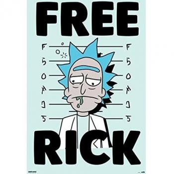 Póster rick y morty libre rick