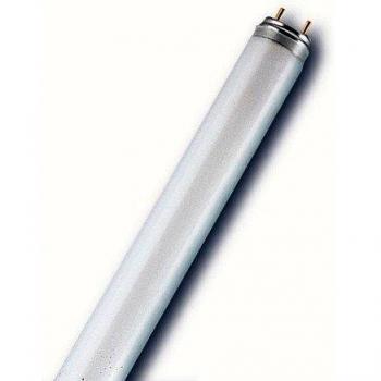 Radiium Spectralux® Plus T8 36 W – Tubo fluorescente 26 mm G13, 3 bande, 865 lux