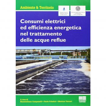 Consumi elettrici ed efficienza energetica del trattamento delle acque reflue