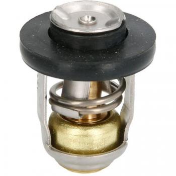 Sierra 18-3628-1 Thermostat 60°c
