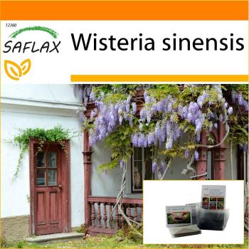 SAFLAX