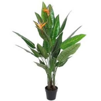 Strelitzia Floral en PVC 100×100×145 – Reflejo Natural