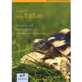 Ma tortue