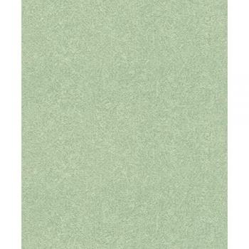Composition 554472 Rasch Intissé Vert Murale