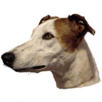 Greyhound Schutzstickerset – 80 mm x 80 mm, Braun & Weiß