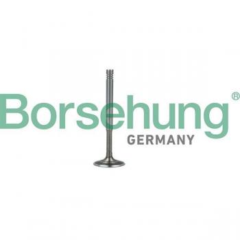 Válvula de Emisión Borsehung B19010