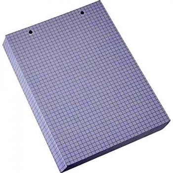 100 Fiches Bristol 148X210Mm 5X5 Perforees 10608E