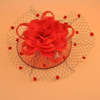 Elegant Bridal Net Hat