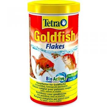 Tetra Goldfish