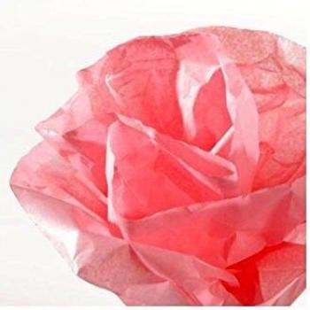 Rollo de papel seda 50x500 cm 20g rosa Canson