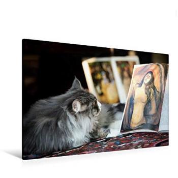 CALVENDO Textil‑Canvas „Das Verlangen nach Wissen!“ – 120 × 80 cm