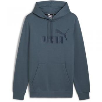 Felpa Big Logo FL Puma Grigio Uomo M