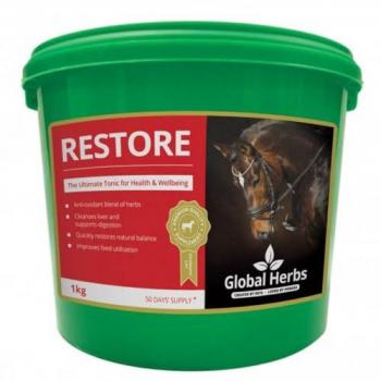 GLOBAL HERBS Restore 4778 1 kg – Premium Blend
