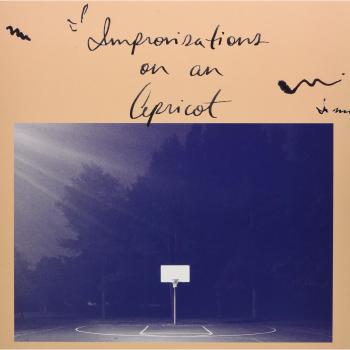 Improvisations on an Apricot – Vinyl 12 (2009)