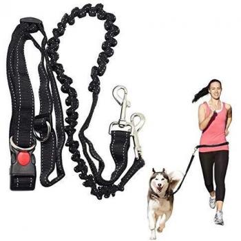 Multifunctional Dog Seat Belt and Leash