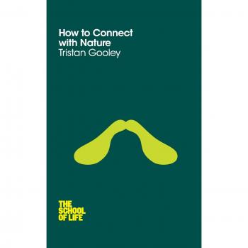 How to Connect with Nature