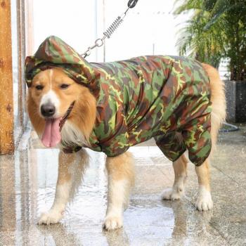 Impermeable “MegaGuard” – Abrigo 4XL‑6XL con capucha
