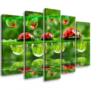 Collage de Naturaleza Ladybird: Set de Piezas 100x70