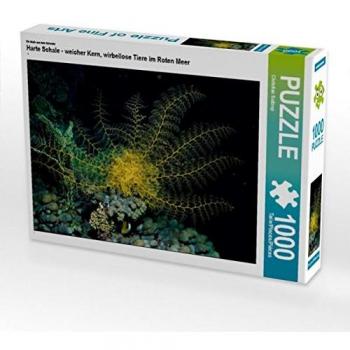 Rotes Meer Tierwelt Puzzle – CALVENDO 1000 Teile, weicher Kern