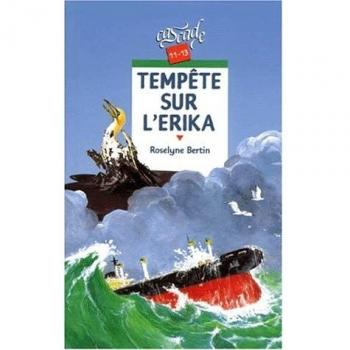 Roselyne Bertin Tempête Sur L'Erika (Cascade)