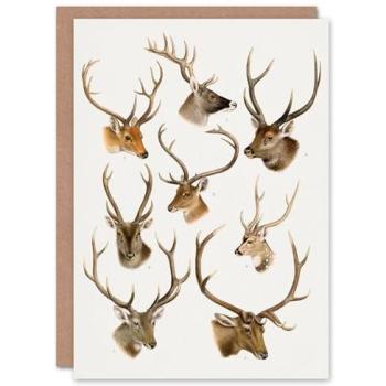 Vintage Deer Portraits by Richard Lydekker – Artery8 Art Card