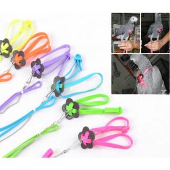 Colorful Pet Strap Leash for Birds, Hamsters, Turtles, and Lizards