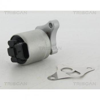 Triscan 8813 24002 EGR Valve