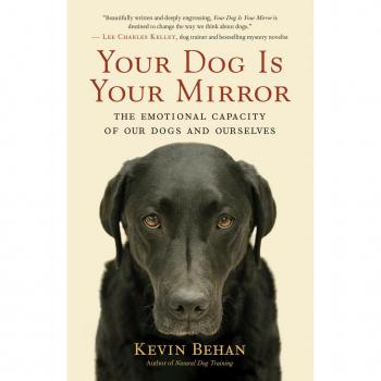 Your Dog is Your Mirror : The Emotional Capacity of Our Dogs and Ourselves