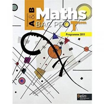 Christophe Rejneri Maths Tle Bac Pro : Groupements A & B, Programme 2011 (1cédérom)