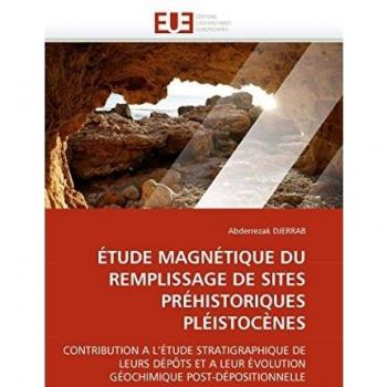 ÃTUDE MAGNÃTIQUE DU REMPLISSAGE DE SITES PRÃHISTORIQUES PLÃISTOCÃNES: CONTRIBUTION A L'ÃTUDE STRATIGRAPHIQUE DE LEURS DÃPÃTS ET A LEUR ÃVOLUTION GÃOCHIMIQUE POST-DÃPOSITIONNELLE
