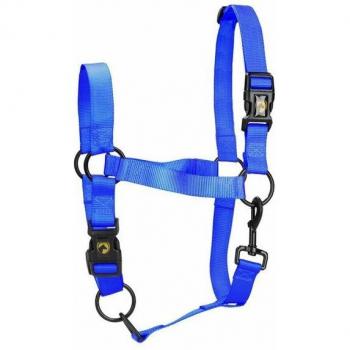 Blauwe Mini Halster XS voor Foals