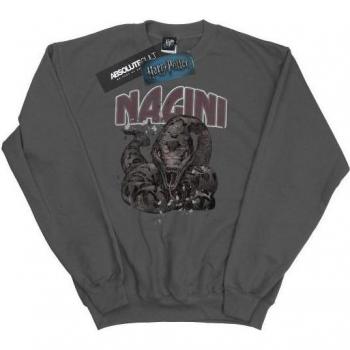 Pull enfant Harry Potter BI19226 Couleurs vives