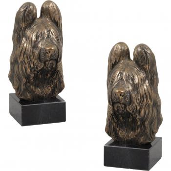 Bust di cane Briard