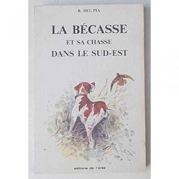 La Bécasse et sa chasse dans le Sud-Est
