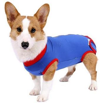 Tuta di Cura e Supporto per Ferite Addominali Canine – Lianzimau