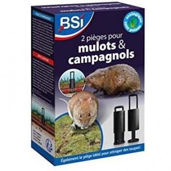 Piège pour Rats des Champs BSI (2 pièces)