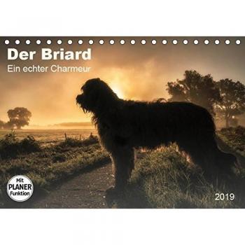 Der Briard 2019