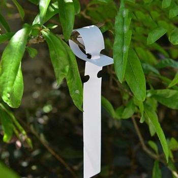 Mangas de anillo multiusos para plantas