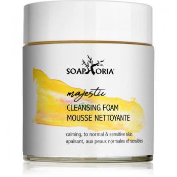Soaphoria Care Mousse Nettoyante