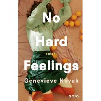 No Hard Feelings: Roman | Ehrlich, witzig, klug: Fleabag trifft Dolly Alderton