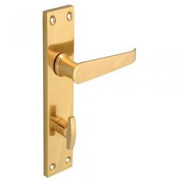 Forge Brass-Finished Victorian Straight Backplate Handle