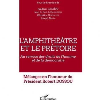 L'amphithéâtre et le prétoire : Au service des droits de l'homme et de la démocratie