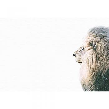 Papier Peint Panoramique Animaux Sauvages