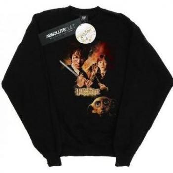 Harry Potter Meisjes Sweatshirt met Chamber Of Secrets Print 12-13 zwart