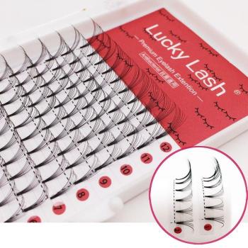 Lucky Lash Pointy Base Volume Fans