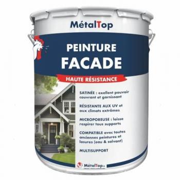 Peinture Métallique