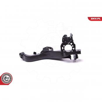 Esen SKV Querlenker Hinten Links für Renault/Nissan 555024CA0D 555024CA1D 555024EG0A