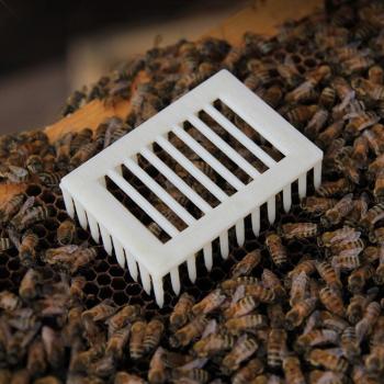 Apiculture Queen Bee Cage Set