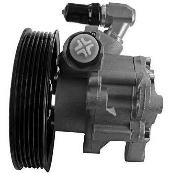 Hydraulic Power Steering Pump V301842